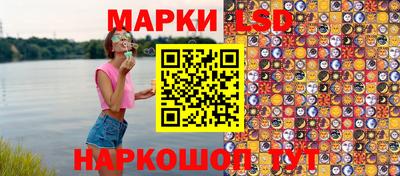 крисы Новокубанск