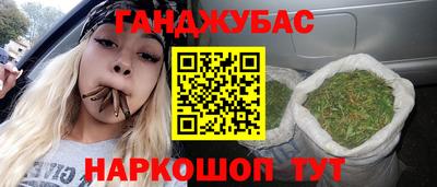 крисы Новокубанск