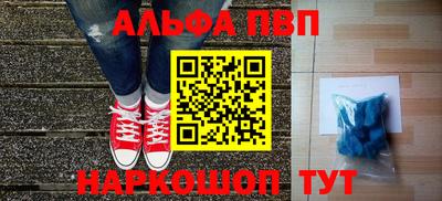 крисы Новокубанск