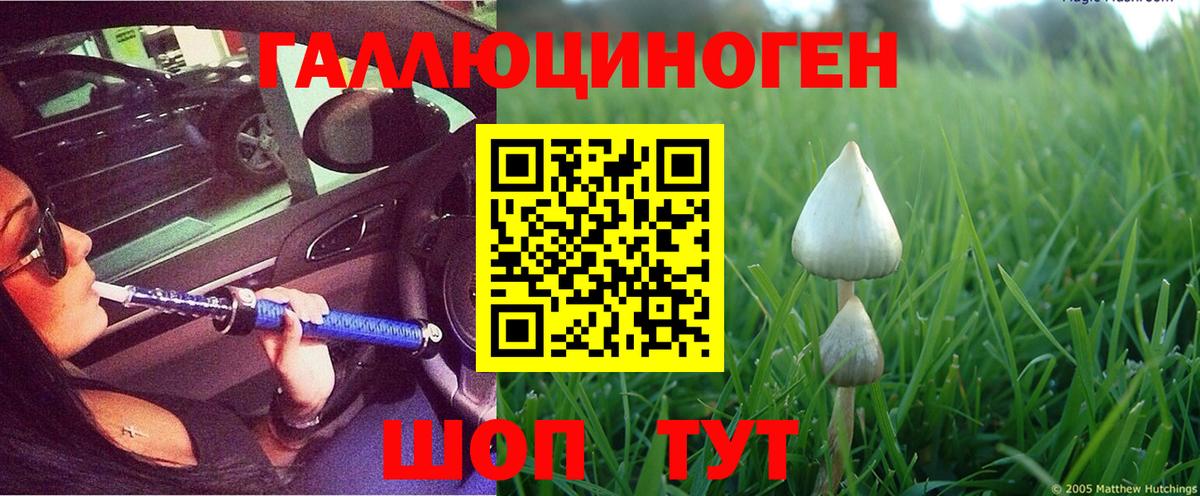 Псилоцибиновые грибы MAGIC MUSHROOMS Александров