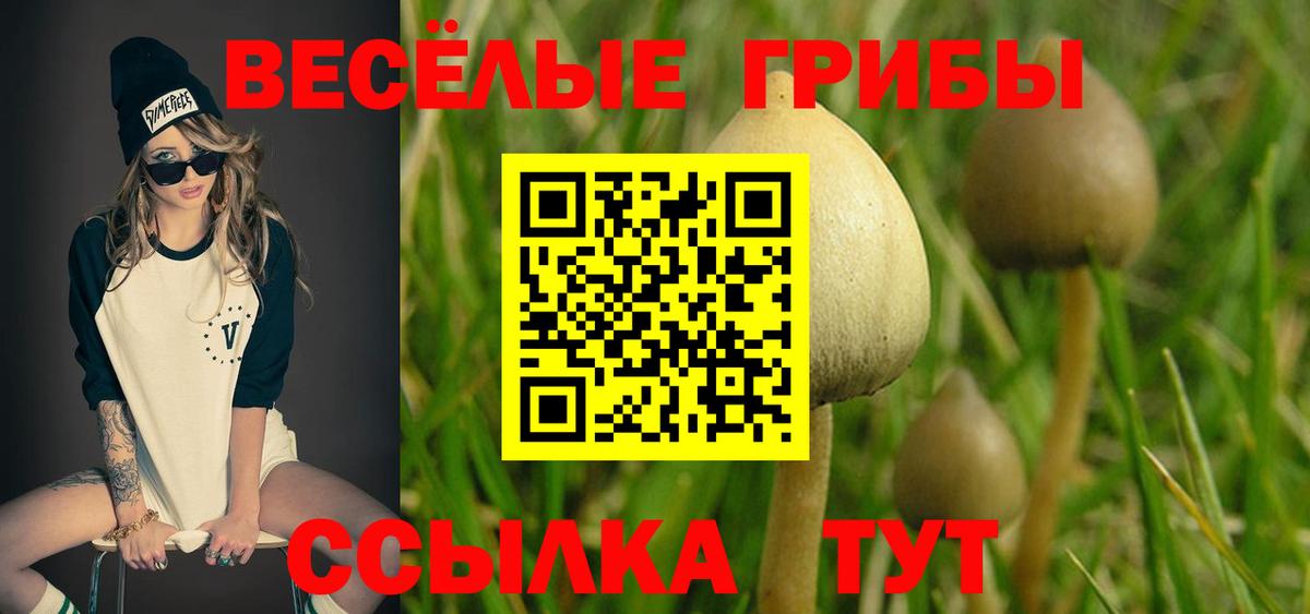 Псилоцибиновые грибы ЛСД  Вход с VPN  Александров 